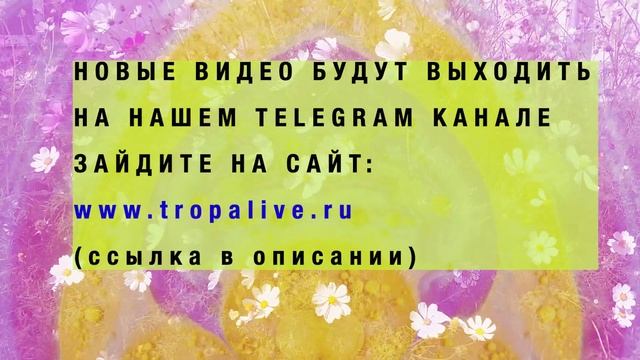 ? Любовь и мир в душе. Медитация сердечной чакры смотреть онлайн