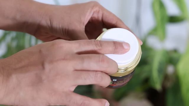 Growing Colourful Indoor Plants | Caladium, Wandering Jew, Aglaonema, Fittonia