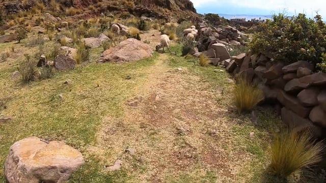 Travel Peru | Taquile Island Lake Titicaca in HD смотреть онлайн