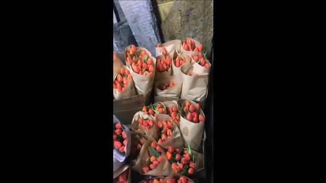 БИЗНЕС НА ТЮЛЬПАНАХ. Как я продал 3000 тюльпанов на 8 марта. смотреть онлайн