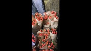 БИЗНЕС НА ТЮЛЬПАНАХ. Как я продал 3000 тюльпанов на 8 марта.