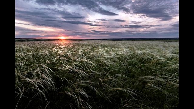 Ралина. Миддлемист. смотреть онлайн