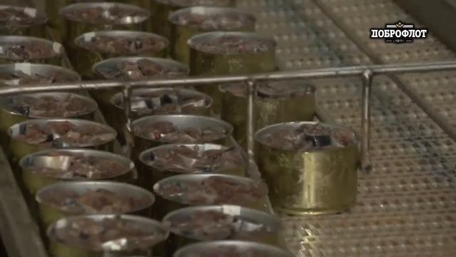 ДОБРОФЛОТ. Сделано в море смотреть онлайн
