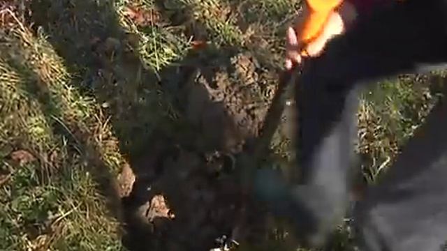 28.11.13 Такая жизнь. Отшельники. смотреть онлайн