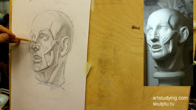 Рисунок экорше головы, 3 часть смотреть онлайн