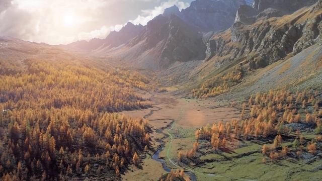 Красивая расслабляющая музыка: в глубине леса Б. Педер Хелланн (официальное видео) смотреть онлайн