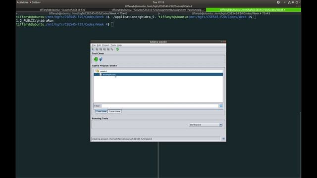 CSE545 Week 4: Reverse Engineering Tools смотреть онлайн