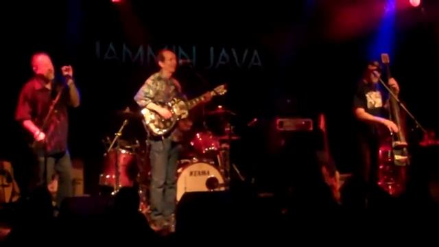 The Nighthawks - Jammin Java - Too Much - Acoustic смотреть онлайн
