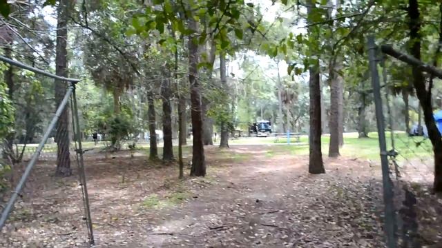 США. Чудесный парк! Привет от Людмилы FloridaYalta! Русскоговорящая община, Орландо