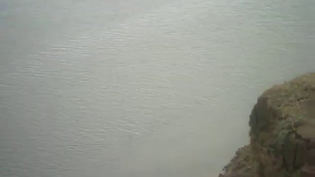 29 04 21 На берегу родного Иртыша Көктөбе Павлодарская обл смотреть онлайн