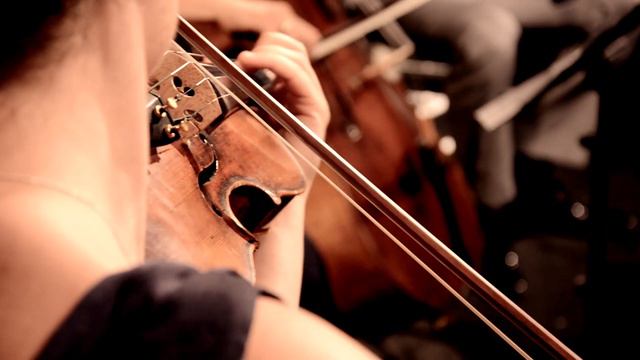 Wagner Träume - Silhouettes Chamber Ensemble смотреть онлайн