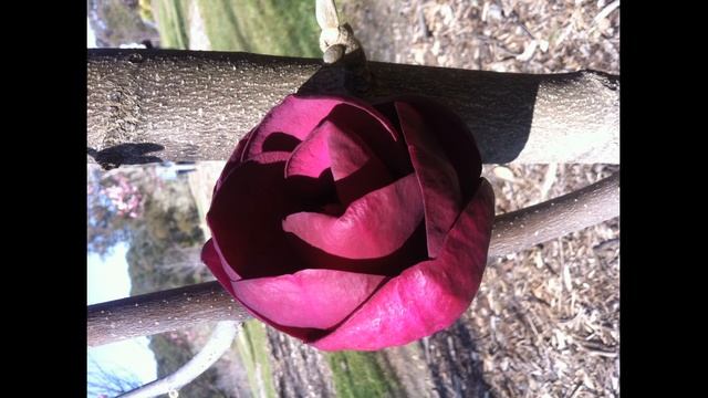 The Oracle Report - Aquarius Cycle 2019: Lead Yourself Up and Move Yourself Along смотреть онлайн