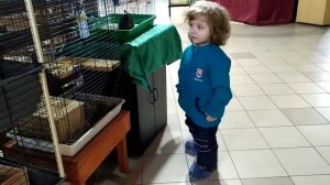 Ты ж моя перепёлочка!