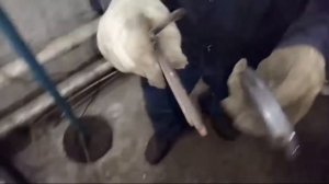 Замена передних колодок Опель инсигния МКПП дизель