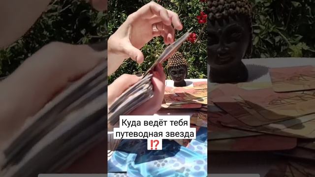 куда ведёт тебя путеводная звезда ⁉️ смотреть онлайн