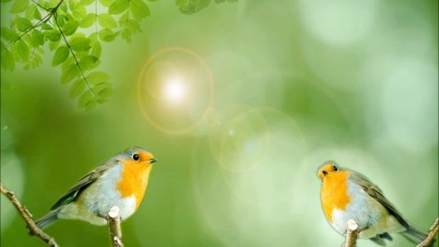 HAUKNER: Dialog смотреть онлайн