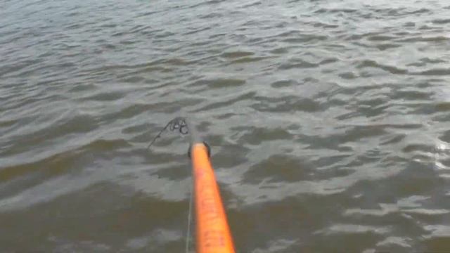 Как поймать судака. Судак, Троллинг судака. Рыбалка смотреть онлайн