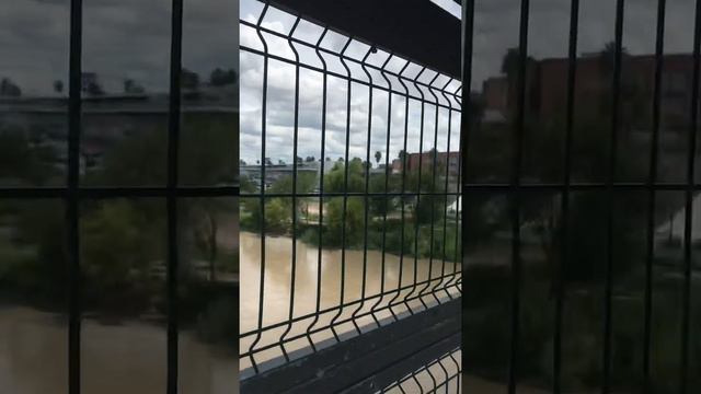 Переход границы,Мексика-Америка! #америка #мексика #эмиграция смотреть онлайн