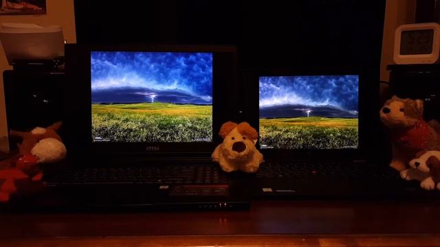MSI GS73VR TN vs Thinkpad X1 Yoga OLED - an excuse to show more cat pics смотреть онлайн