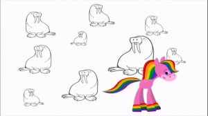 Rainbow horse EP104 walrus