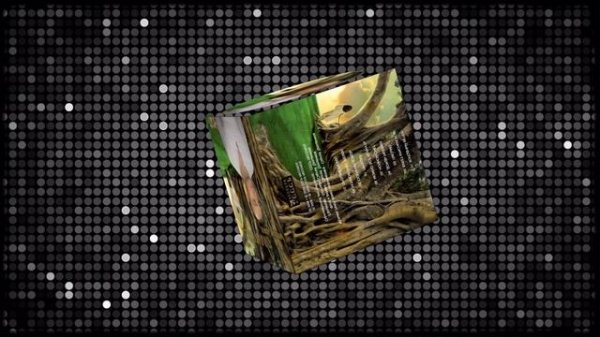 Estimado - Письмо