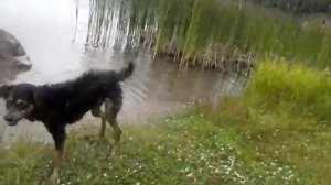 Лохнесское чудовище.