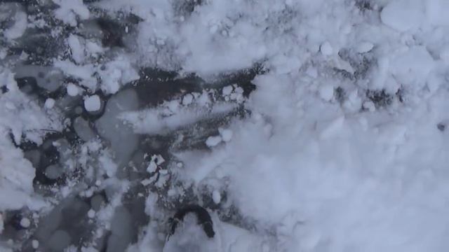 Капканы на бобра с корягой, капканы на куницу. смотреть онлайн