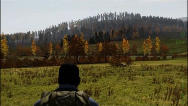 DayZ - Epic Helicopter Fail смотреть онлайн