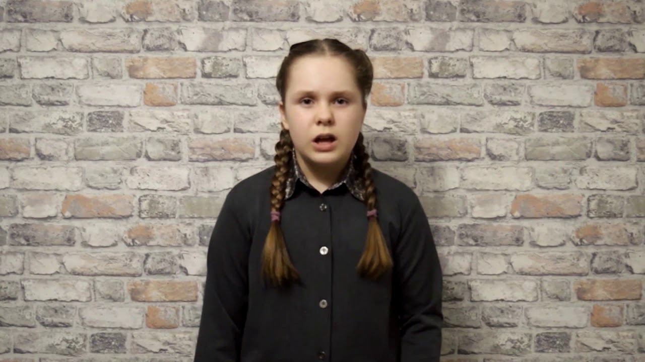 Анна Анисимкина читает авторское стихотворение "Собачье сердце" смотреть онлайн