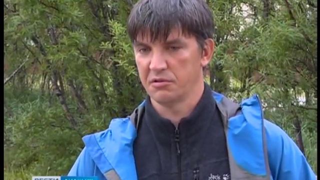 №590 Кулики Лопатни смотреть онлайн