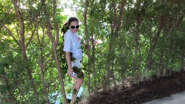 RIXOS Premium Magawish!!! Обзор отеля + РУМ ТУР!!! Так ли он ХОРОШ??? смотреть онлайн