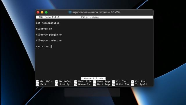 Install Vim and Configure Vim for writing Java/ Javascript or Python on You Macbook M1, M1 Pro, M2 смотреть онлайн