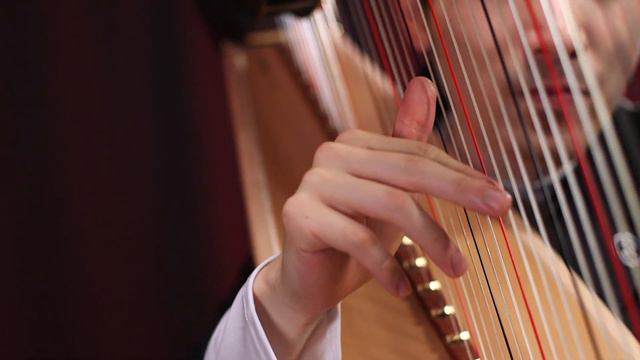 Wake Up, Get Up, Get Out There (Harp & Ocarina Cover) смотреть онлайн