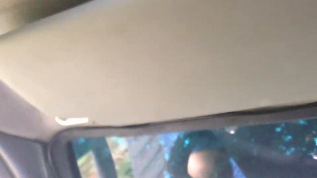 Козырьки от Рено 