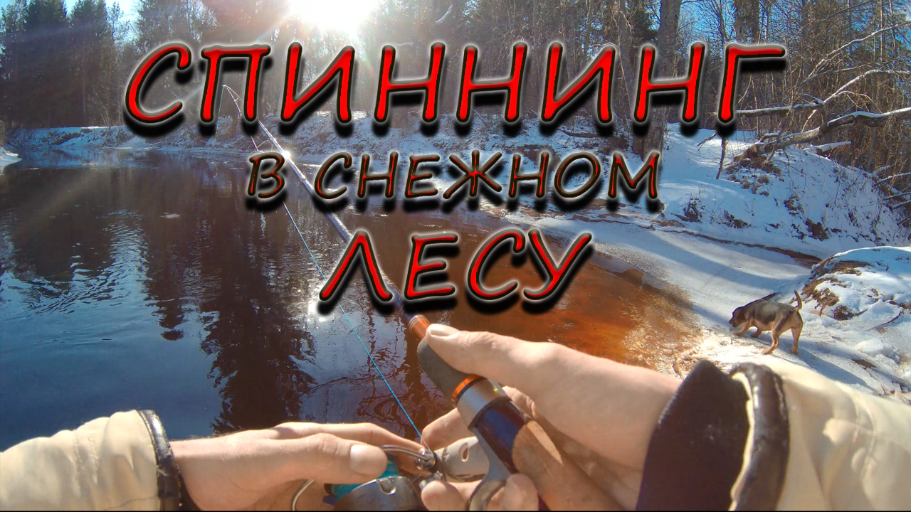 Спиннинг В Снежном Лесу/Щука На Спиннинг/Щука На Реке/Зимняя Рыбалка На Щуку смотреть онлайн
