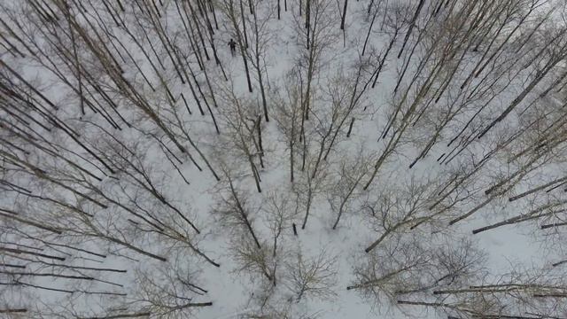 Поиск цели в лесу с HUBSAN Zino Pro+