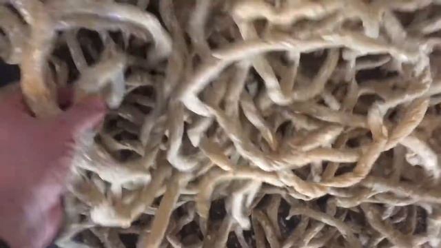 Экструдирование соломы и сена смотреть онлайн