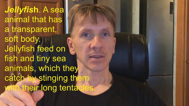 60  Учимся читать JELLYFISH