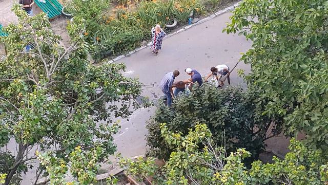Люди падают от жары. Всем всё равно. смотреть онлайн