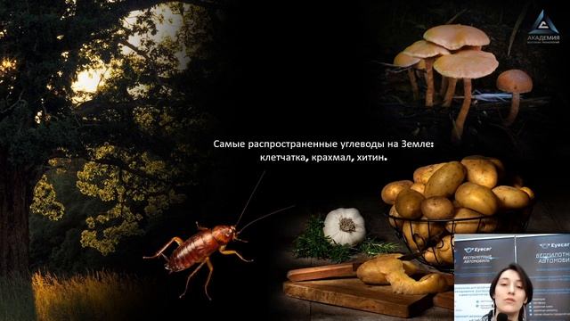 Кулинарная Революция