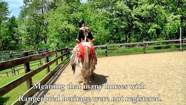 About the Colorado Ranger Horse смотреть онлайн