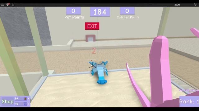 Нуб против Питомцев ПОБЕГ Животных из Зоомагазина Роблокс PET ESCAPE ROBLOX | SOFIA смотреть онлайн