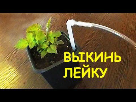 ЦВЕТЫ скажут СПАСИБО! Автоматический ПОЛИВ комнатных растений. Капельный полив по таймеру. смотреть онлайн
