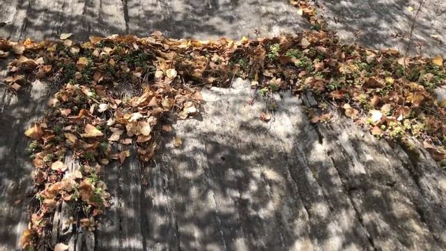 Настасьин камень смотреть онлайн