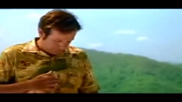 Patch Adams - Concezione della vita смотреть онлайн