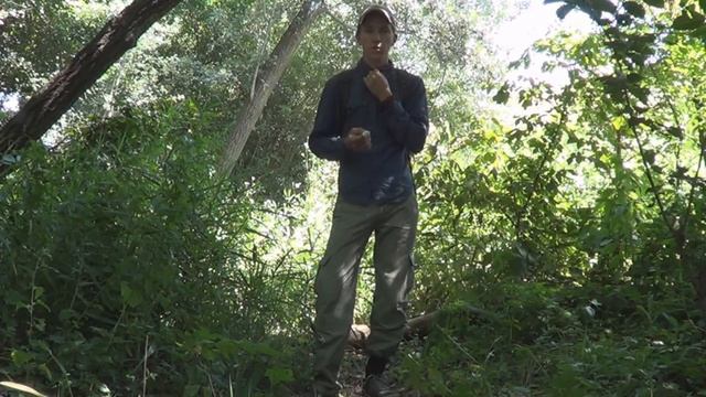 Как одеваться от клещей (Protection Against Ticks)