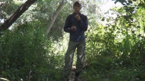 Как одеваться от клещей (Protection Against Ticks)