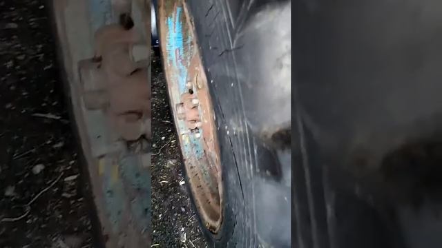 Обзор дисков мтз82