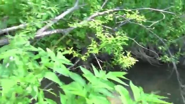лагерь разведка смотреть онлайн