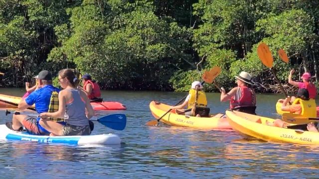 Kayak Family Adventure